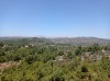 20200712_130141.jpg 20200712_130141.jpg