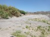 20200712_142111.jpg 20200712_142111.jpg