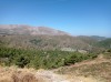 20200712_161758.jpg 20200712_161758.jpg