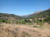 20200712_165521.jpg 20200712_165521.jpg