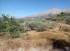 20200712_170439.jpg 20200712_170439.jpg
