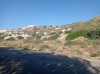 20200712_175146.jpg 20200712_175146.jpg