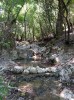 20200713_103603.jpg 20200713_103603.jpg