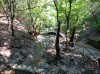 20200713_103645.jpg 20200713_103645.jpg