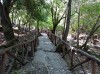 20200713_103714.jpg 20200713_103714.jpg