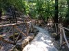 20200713_104559.jpg 20200713_104559.jpg