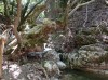 20200713_104704.jpg 20200713_104704.jpg