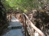 20200713_104834.jpg 20200713_104834.jpg