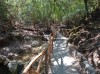 20200713_104919.jpg 20200713_104919.jpg
