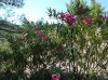 20200713_105612.jpg 20200713_105612.jpg