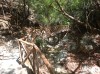20200713_111132.jpg 20200713_111132.jpg