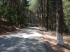 20200713_123336.jpg 20200713_123336.jpg