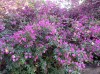 20200713_164557.jpg 20200713_164557.jpg