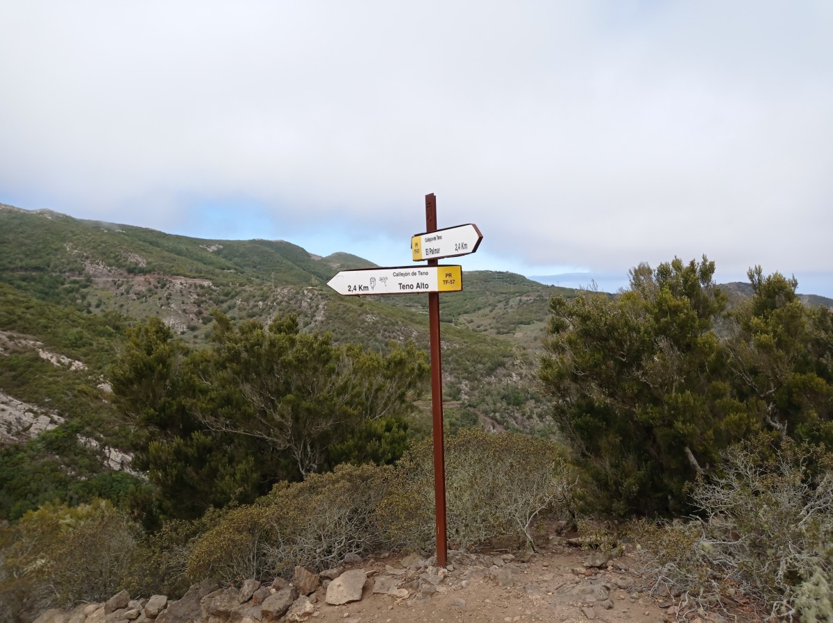 20200806_122625.jpg