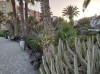 20200803_202817.jpg 20200803_202817.jpg