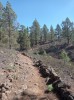 20200804_105800.jpg 20200804_105800.jpg