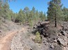 20200804_110351.jpg 20200804_110351.jpg
