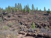 20200804_110557.jpg 20200804_110557.jpg