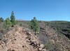 20200804_111254.jpg 20200804_111254.jpg