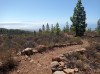 20200804_112903.jpg 20200804_112903.jpg
