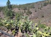 20200804_121555.jpg 20200804_121555.jpg