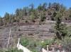 20200804_131029.jpg 20200804_131029.jpg