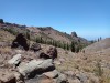 20200804_140251.jpg 20200804_140251.jpg