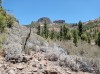 20200804_142213.jpg 20200804_142213.jpg