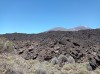 20200804_145243.jpg 20200804_145243.jpg