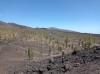 20200804_154003.jpg 20200804_154003.jpg