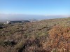20200805_085924.jpg 20200805_085924.jpg