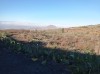 20200805_090316.jpg 20200805_090316.jpg