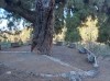 20200805_092524.jpg 20200805_092524.jpg