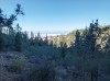 20200805_092552.jpg 20200805_092552.jpg
