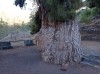 20200805_092556.jpg 20200805_092556.jpg