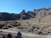 20200805_101507.jpg 20200805_101507.jpg
