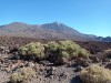 20200805_101513.jpg 20200805_101513.jpg