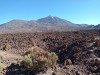 20200805_101531.jpg 20200805_101531.jpg