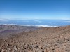 20200805_111746.jpg 20200805_111746.jpg