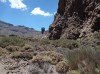 20200805_132329.jpg 20200805_132329.jpg