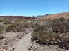 20200805_135009.jpg 20200805_135009.jpg