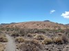 20200805_135024.jpg 20200805_135024.jpg