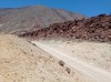 20200805_140305.jpg 20200805_140305.jpg
