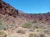 20200805_140847.jpg 20200805_140847.jpg