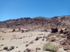 20200805_143700.jpg 20200805_143700.jpg