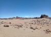 20200805_143725.jpg 20200805_143725.jpg
