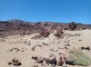 20200805_143851.jpg 20200805_143851.jpg