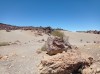 20200805_143931.jpg 20200805_143931.jpg