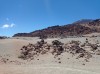 20200805_144755.jpg 20200805_144755.jpg