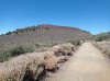 20200805_151653.jpg 20200805_151653.jpg